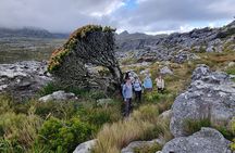 BEST of Table Mountain! Exhilarating Full-day Guided Hike