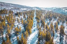Historical Snowmobile Tour Across Finnmarksvidda