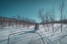 Historical Snowmobile Tour Across Finnmarksvidda