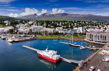Goðafoss Waterfall & Forest Lagoon from Akureyri Port