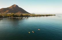 Guided Kayak 2-Hour Activity with Dolphins
