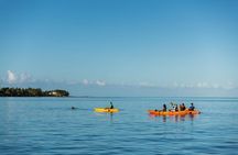 Guided Kayak 2-Hour Activity with Dolphins
