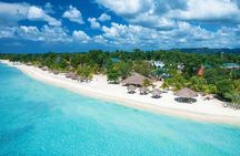 Doctors cave beach, Margaritaville,Glass bottom boat ride, and snorkeling combo