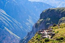 Colca Canyon 2 days from Arequipa with final transfer to Puno