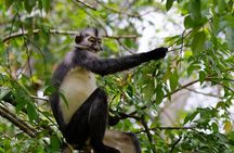 3 Days Bukit Lawang Tour (Happy Jungle)