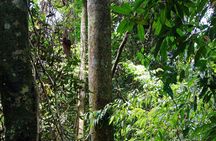 3 Days Bukit Lawang Tour (Happy Jungle)