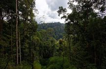 3 Days Bukit Lawang Tour (Happy Jungle)