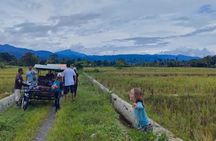 4 Days Bukit Lawang Tour Include 2 Days 1 Night Jungle Treks