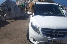 Gibraltar Sightseeing : Classic Shore Excursion (Private)