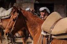 Full Day Horseback Riding at the Foot of the Andes.
