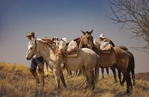 Full Day Horseback Riding at the Foot of the Andes.