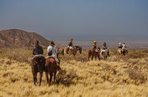 Full Day Horseback Riding at the Foot of the Andes.