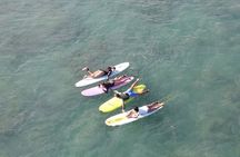 Private Surf Lesson