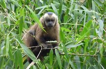 5-days Private Manu Jungle Tour with Waterfalls and Hot Springs