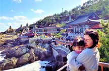 Private Busan Tour -Explore Cultural Landmarks with a Local Guide