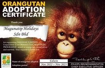 Semenggoh Orangutan Centre from Kuching