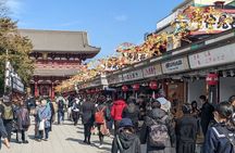 Tokyo Private Car Tour: Professional Guide and Driver/Optional airport xfer