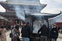 Tokyo VIP Guided Private Car Tour with Optional Airport Transfer