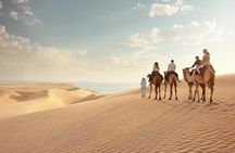 Doha Layover Desert Safari, Camel Ride, Sand Boarding, Inland Sea