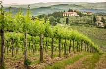 Private Double Wine Tasting Tour in Frascati - Exclusive