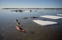 Winter kayaking in Eastern Helsinki archipelago