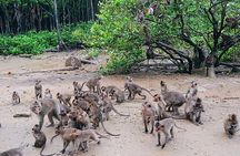 Trek Can Gio Mangrove, Monkey Island with Croc Farm & Cano Option