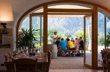 Trentino Wine Journey: Organic Vineyards & Local Delights