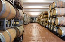 Trentino Wine Journey: Organic Vineyards & Local Delights