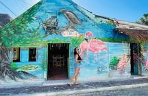 Holbox Tour Punta Mosquito from Cancun
