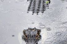 Everglades National Park Naturalist Led Hike, 2 Boat Trips + More