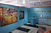 Private Montego Bay City Highlights Tour