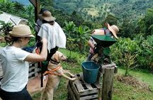 Private Coffee Tour in Jardín Antioquia