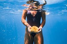 Turtle Canyon Snorkel: Semi Private Boat Tour