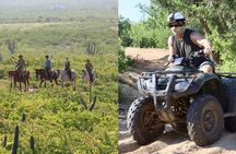 Los Cabos ATV and Pacific Horseback Riding Combo Tour
