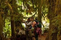 Olympic Full Day Private Tour and Hike