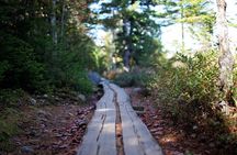 Acadia Full Day Private Tour and Hike