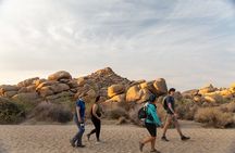 Joshua Tree Full Day Private Tour and Hike