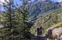 Seward Wilderness Hiking