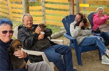 Summer Sled Dog Remote Yukon Camp & Summit Tour