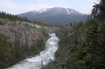 Summit Experience & Yukon Suspension Bridge Tour
