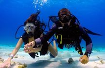 Discover Scuba diving in El Nido
