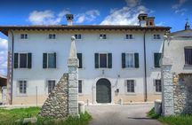 Vineyard Tour and Tasting of Lugana Wines
