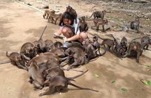 From Ho Chi Minh: Can Gio Trek – Monkey Island & Crocodile Farm