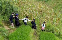 Sapa Trekking & Homestay 2 Days 1 Night