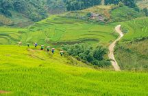 Sapa Trekking & Homestay 2 Days 1 Night