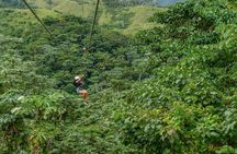 7 Tours Punta Cana: Zipline, Chairlift, ATV, Ride Horses, & More!