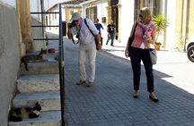 Old Town of Nicosia Walking Tour