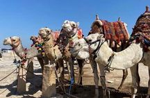 all inclusive Giza pyramids & the grand Egyptian museum 
