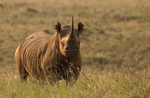 6 Days Tanzania Budget Safari with Serengeti