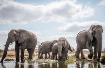 6 Days Tanzania Budget Safari with Serengeti